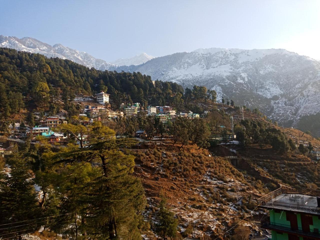 Hotel Pine Spring Dharamshala Exterior photo